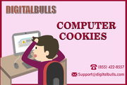How important computer cookies are?