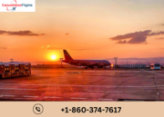 Delta Airlines Group Travel