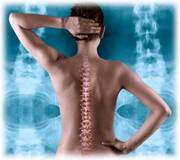 Total Wellness and Chiropractic Center